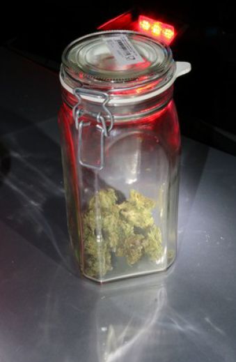 Zajištěná marihuana