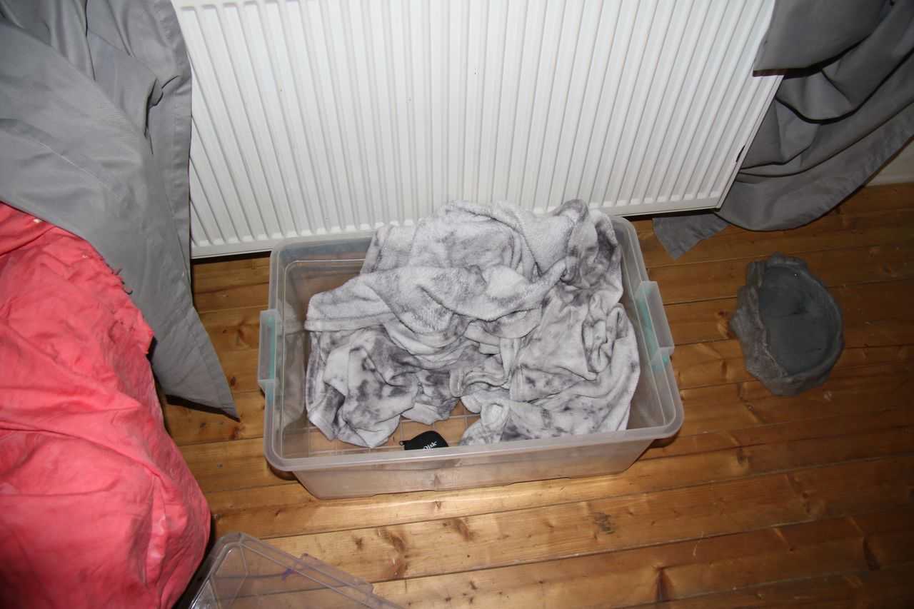 Zajištěný pervitin
