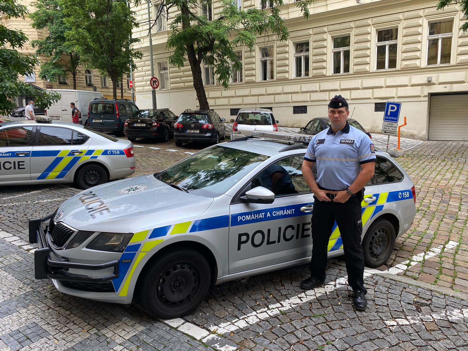 Zasahující policista.jpg