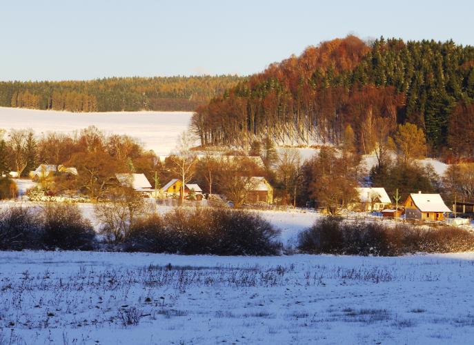 Zdonov