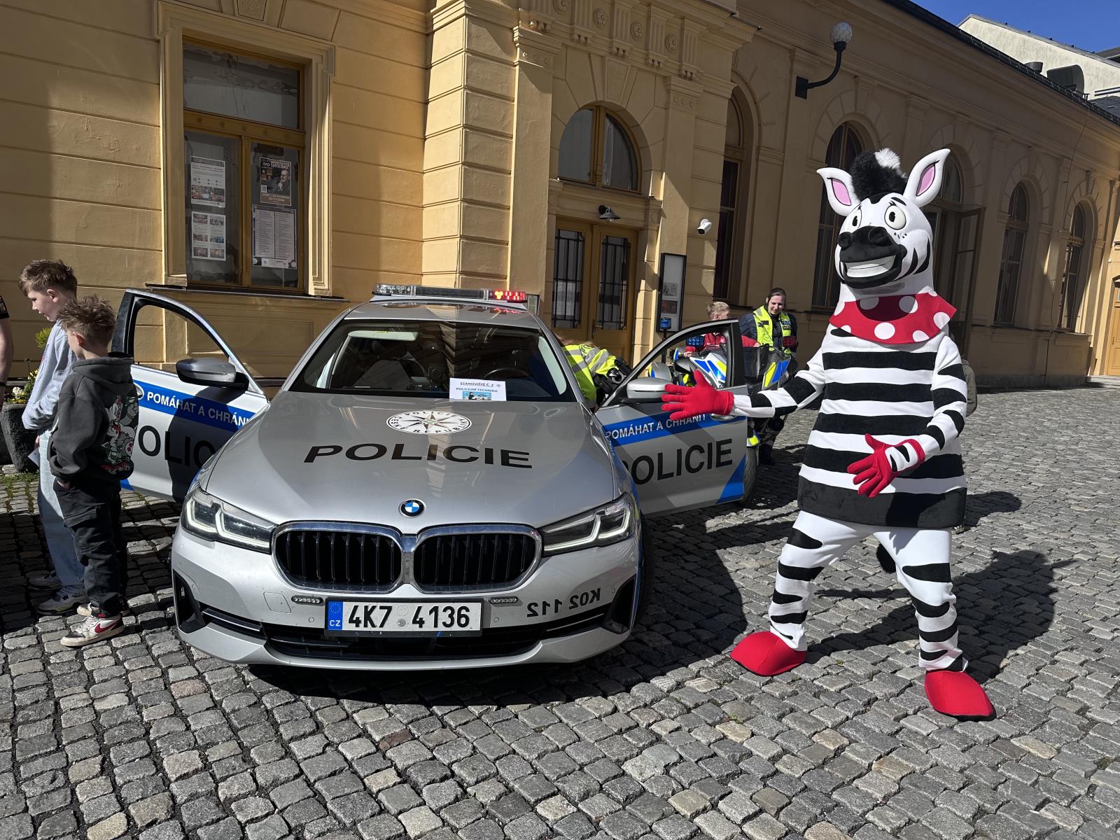 Zebra
