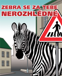 Zebra