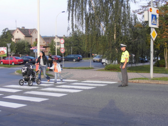 Zebra 02 3.9.2012.jpg