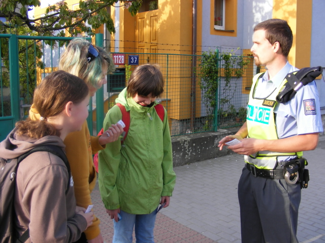 Zebra 04.jpg