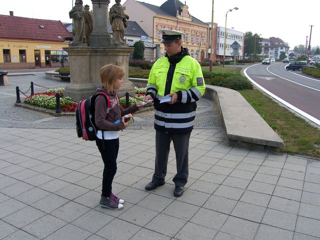 Zebra 2012