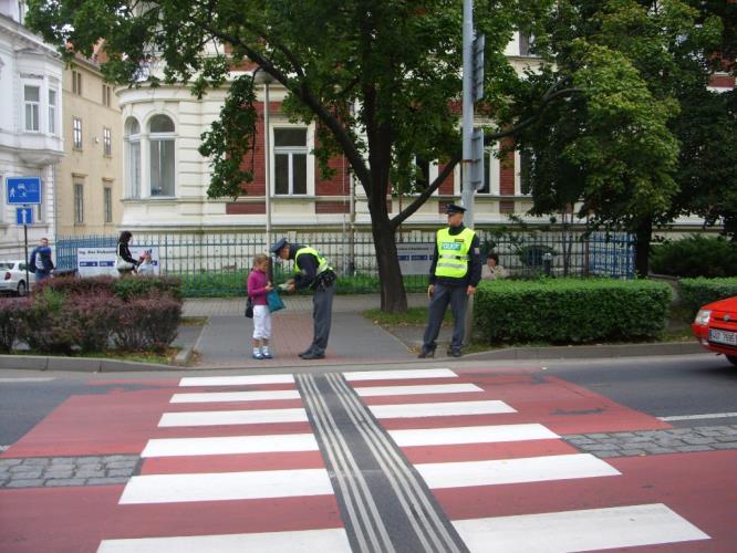 Zebra 2013