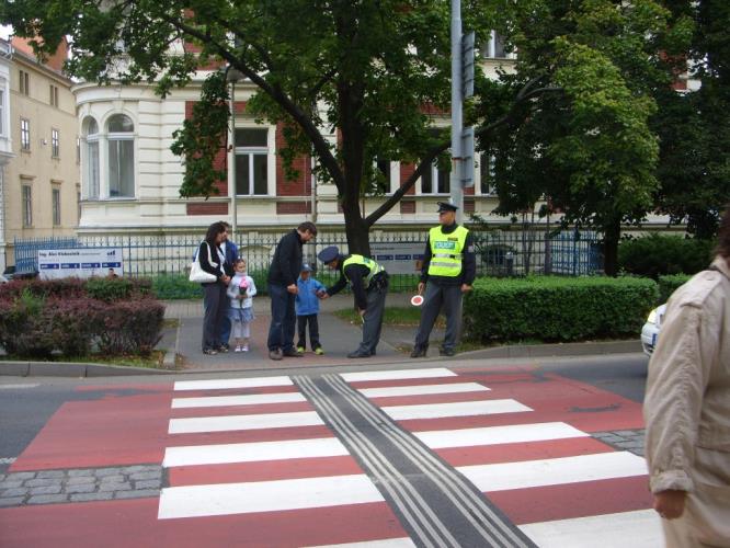 Zebra 2013