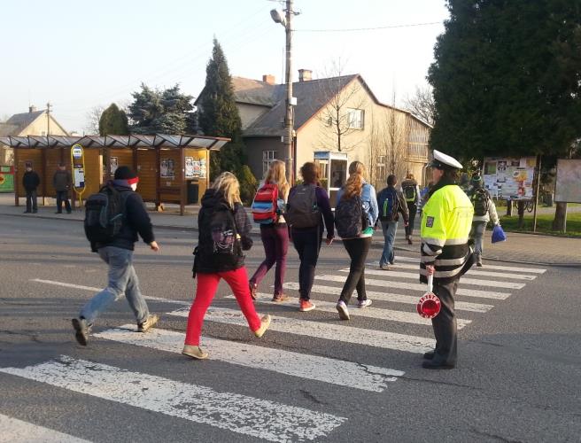 Zebra 2014 Třinec, Bystřice