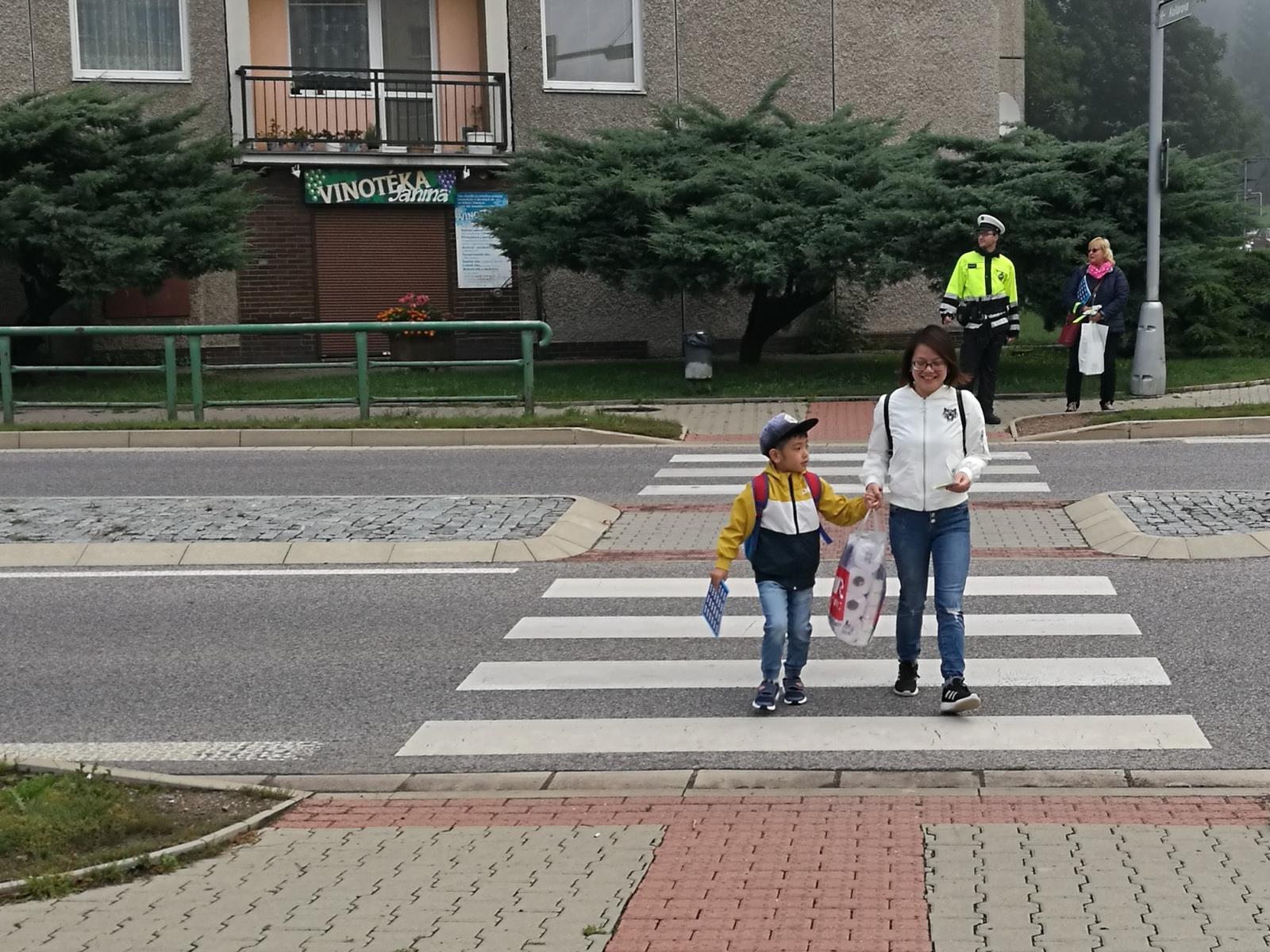 Zebra 2019