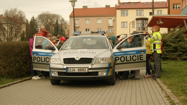 Zebra 7.JPG
