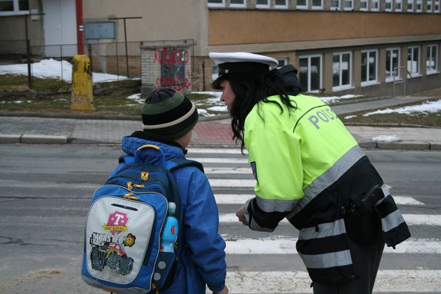 Zebra Blansko 1