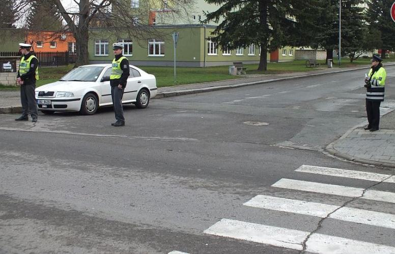 Zebra Boskovice 1.jpg