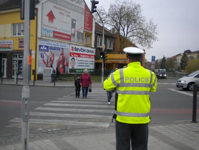 Zebra Břeclav I.jpg