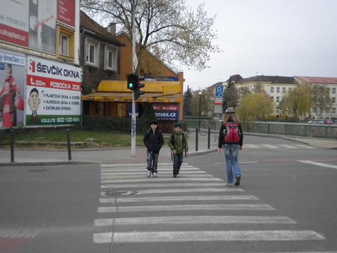 Zebra Břeclav II.jpg
