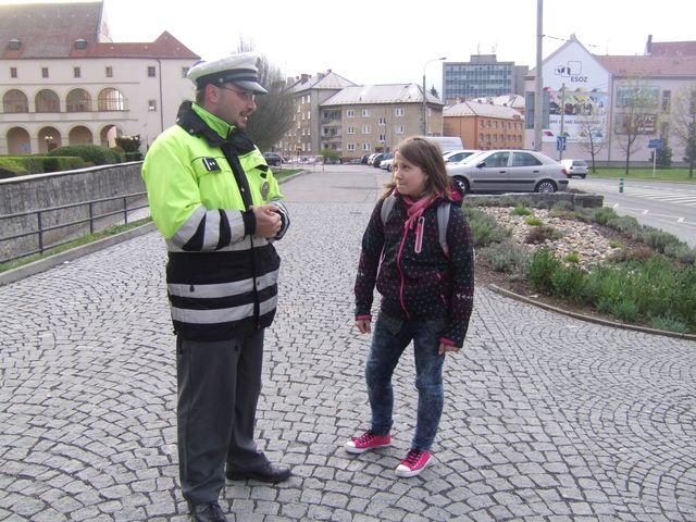 Zebra Chomutov