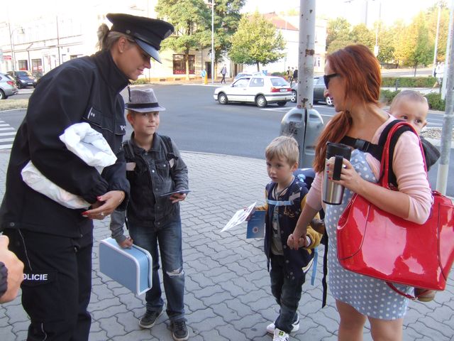 Zebra Chomutov