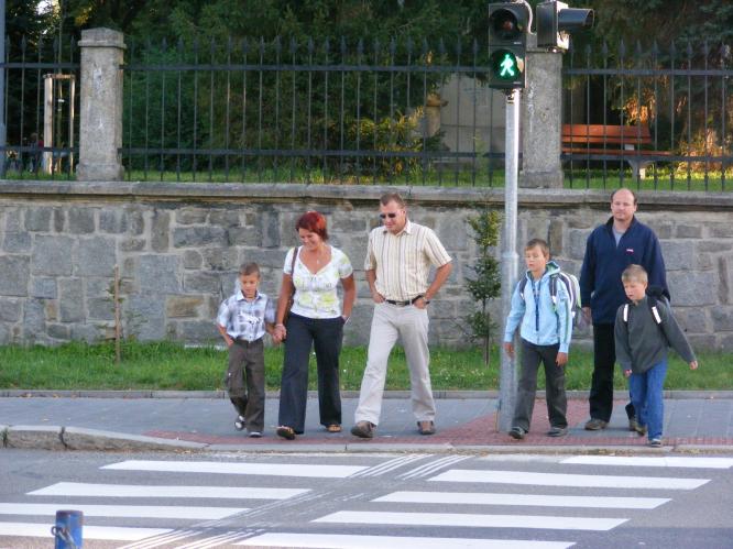 Zebra JH 1.9 .jpg