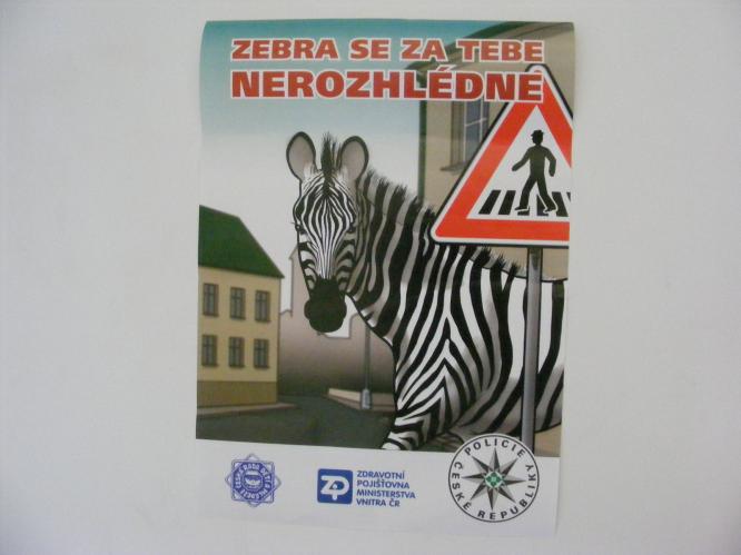 Zebra JH 1.9 .jpg