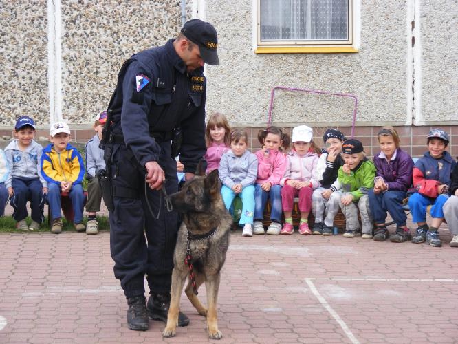 Zebra MŠ Slaný - Na Dolíkách - výcvik poslušnosti