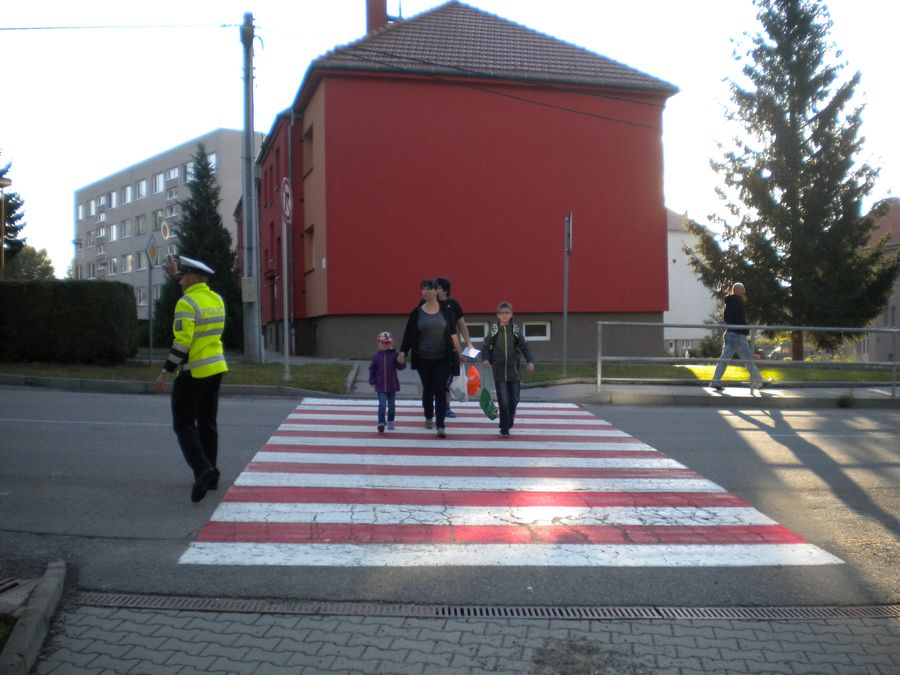 Zebra Rousínov4.JPG