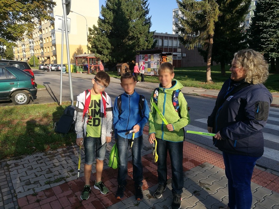 Zebra Trutnov 3. 9. 2019.jpg