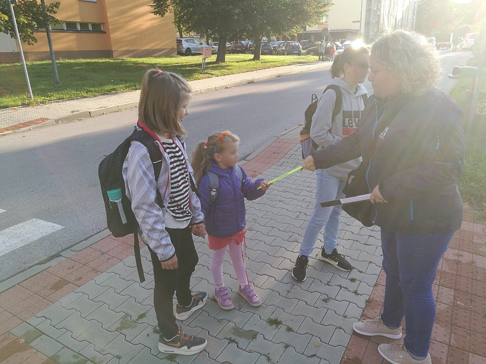 Zebra Trutnov 3. 9. 2019.jpg