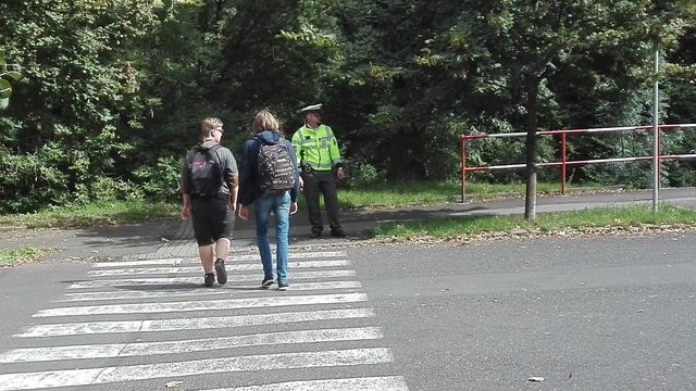 Zebra Ústí n. L.