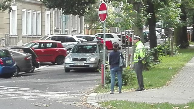 Zebra Ústí n. L.