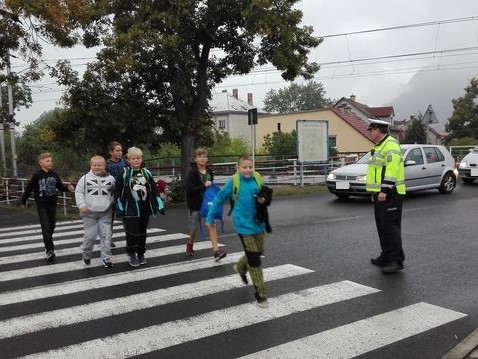 Zebra - Velké Březno