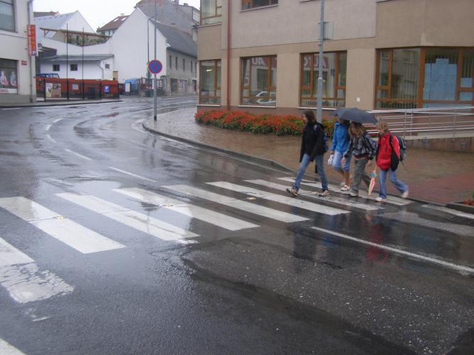 Zebra - foto č. 4