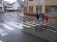Zebra - foto č. 4