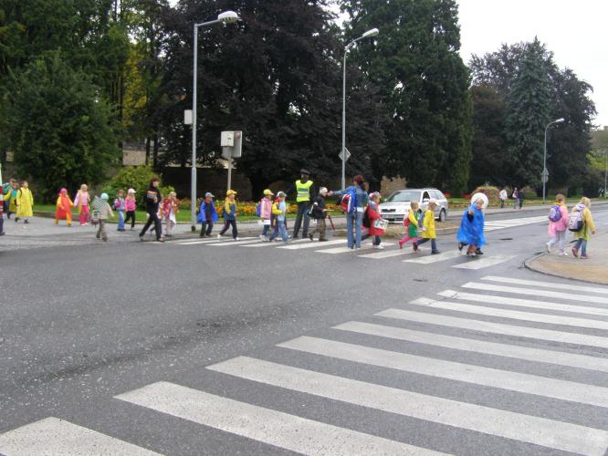 Zebra - foto č. 9