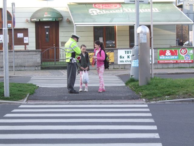 Zebra - jaro 2016