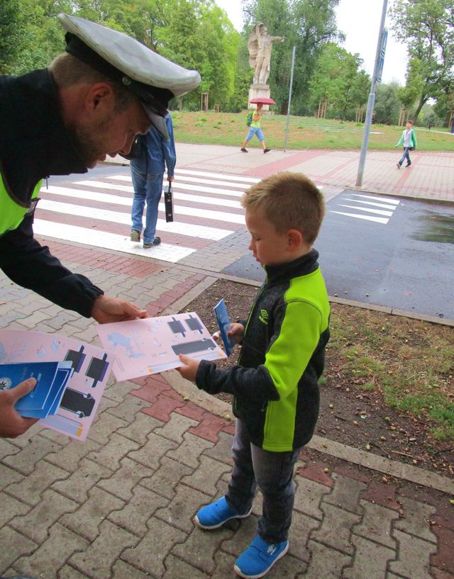 Zebra na Litoměřicku