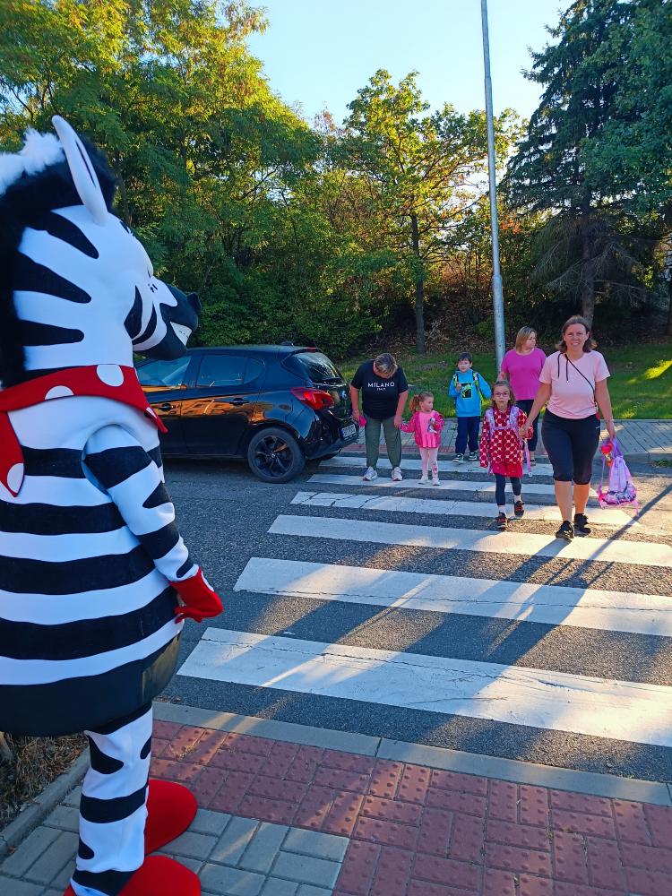 Zebra na kladensku