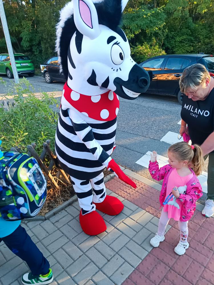 Zebra na kladensku