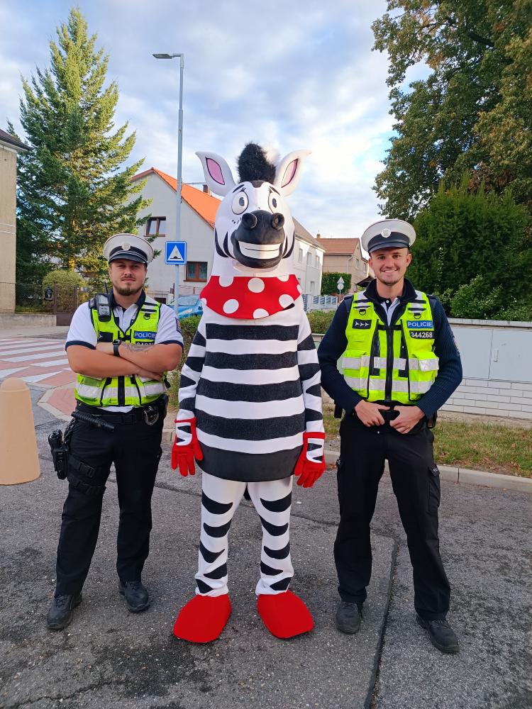 Zebra na kladensku
