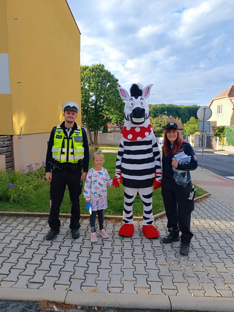 Zebra na kladensku