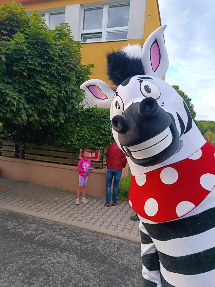 Zebra na kladensku