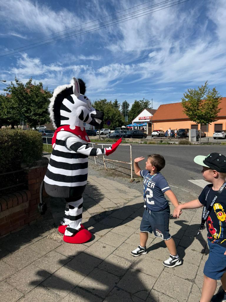 Zebra na kladensku