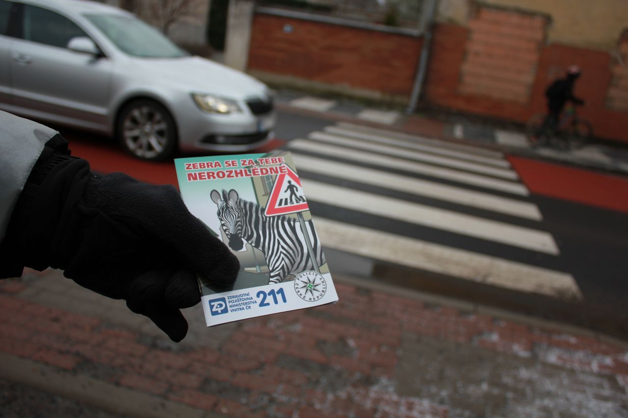Zebra se za Tebe nerozhlédne