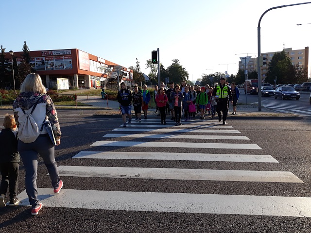 Zebra se za Tebe nerozhlédne