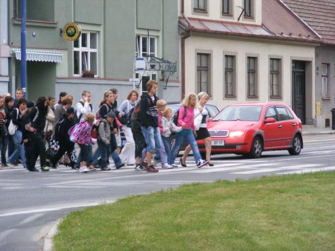 Zebra se za Tebe nerozhlédne .jpg