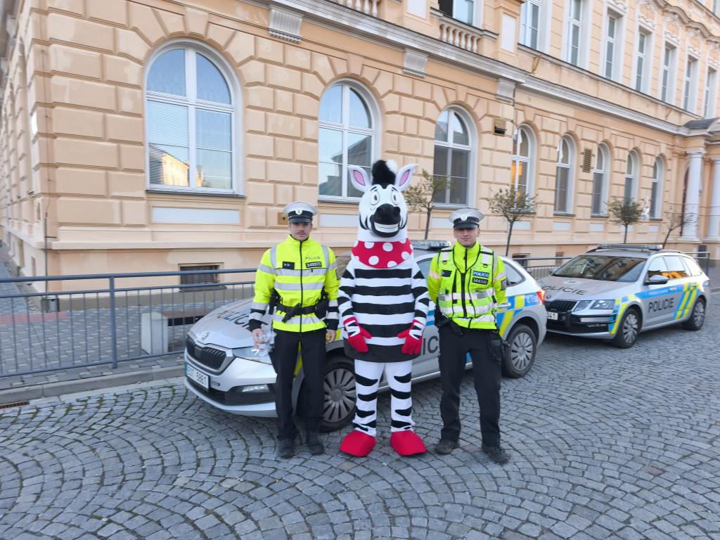 Zebra se za tebe nerozhlédne