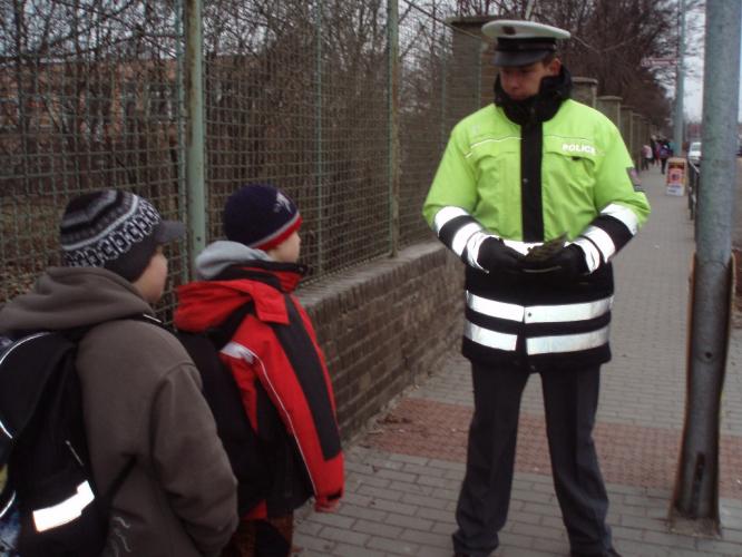 Zebra se za tebe nerozhlédne