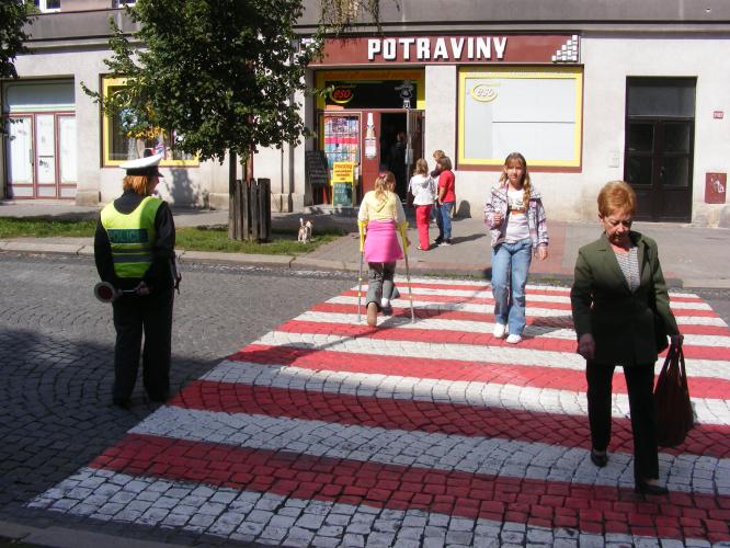 Zebra se za tebe nerozhlédne - ZŠ Kladno v Amálské ulici