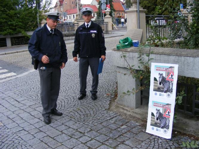Zebra se za tebe nerozhlédne2.jpg