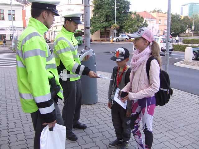 Zebra v Chomutově