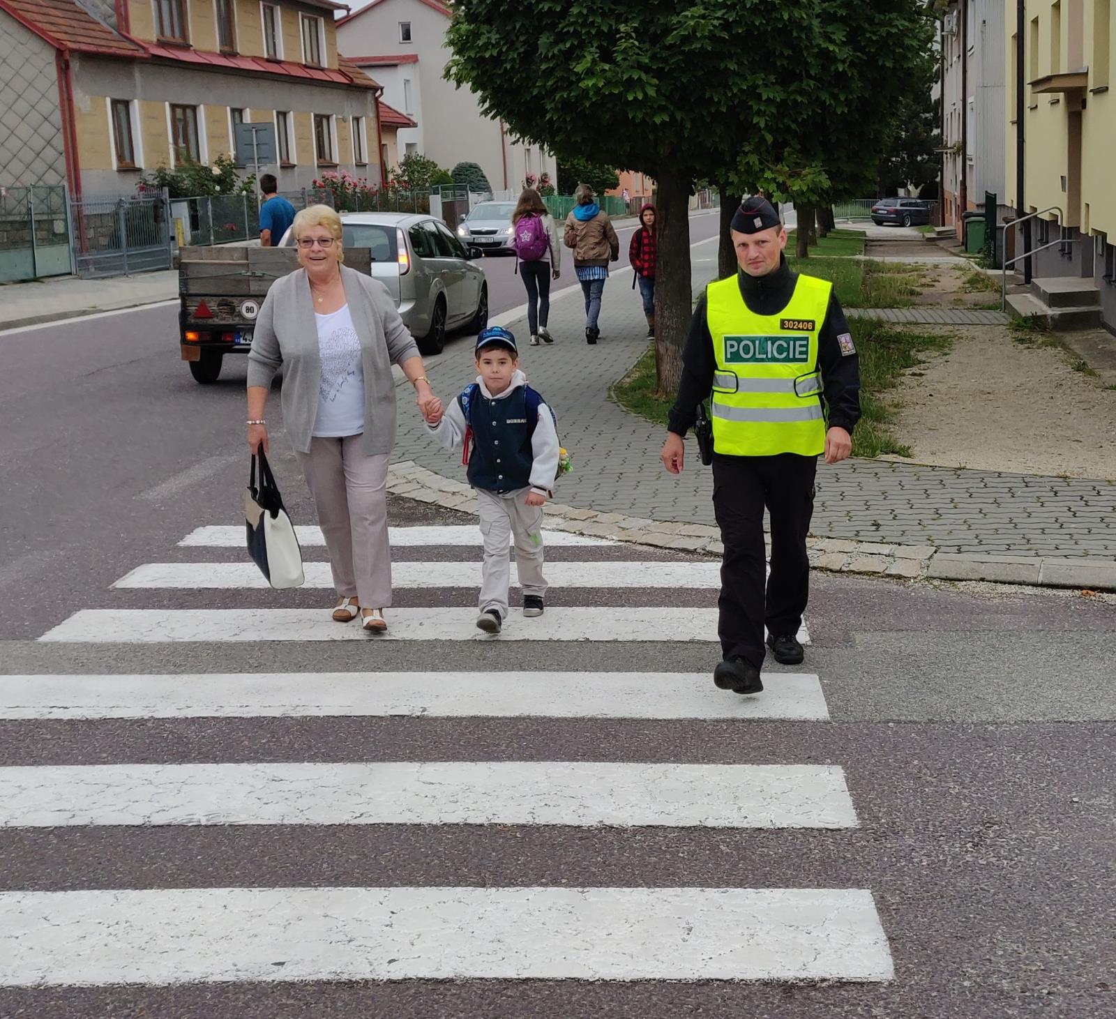 Zebra v Dačicích .jpg