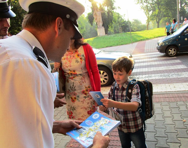 Zebra v Litoměřicích